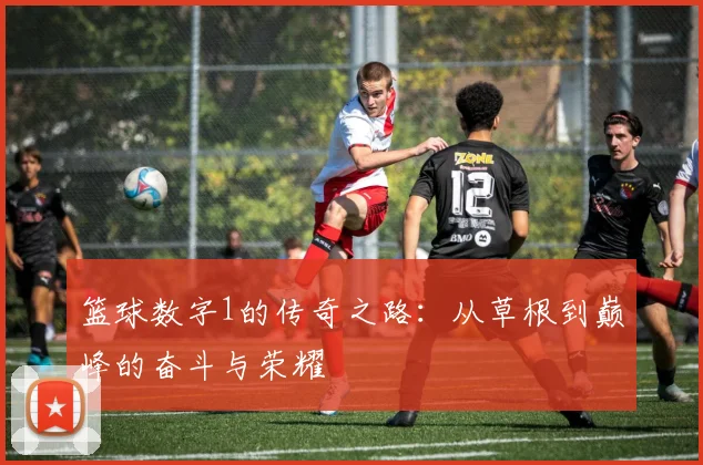 篮球数字1的传奇之路：从草根到巅峰的奋斗与荣耀