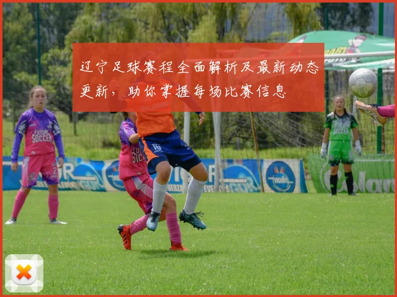 辽宁足球赛程全面解析及最新动态更新，助你掌握每场比赛信息