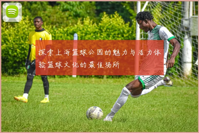 探索上海篮球公园的魅力与活力体验篮球文化的最佳场所