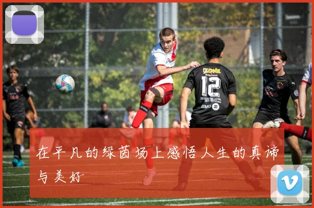 在平凡的绿茵场上感悟人生的真谛与美好