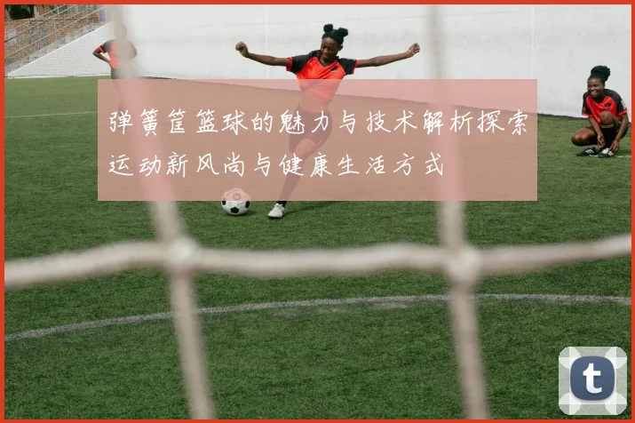 弹簧筐篮球的魅力与技术解析探索运动新风尚与健康生活方式
