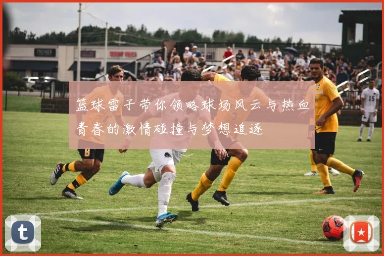 篮球雷子带你领略球场风云与热血青春的激情碰撞与梦想追逐